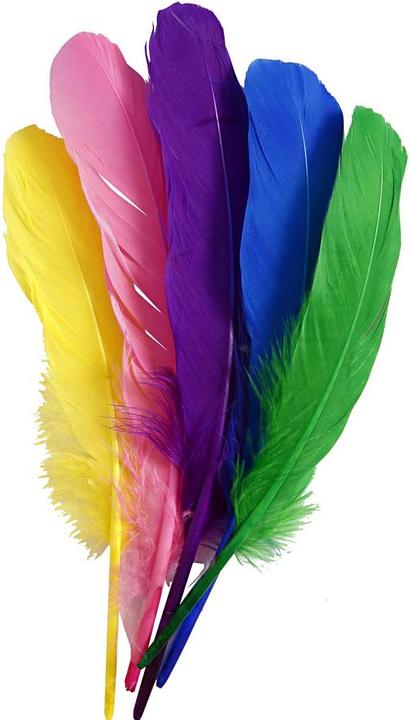 Actual product image Creativ Company Feathers