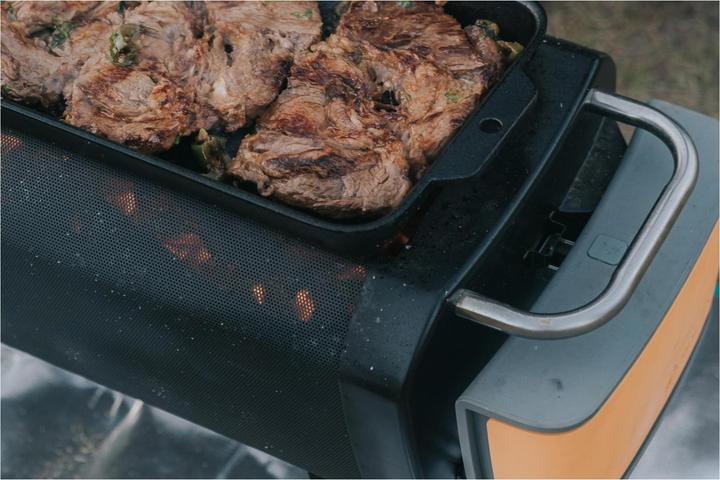 Actual product image Biolite Firepit Griddle
