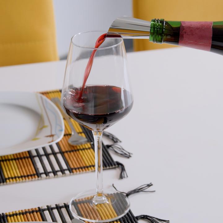 Actual product image Esmée Wine pourer Drop Stop (Wine pourer)