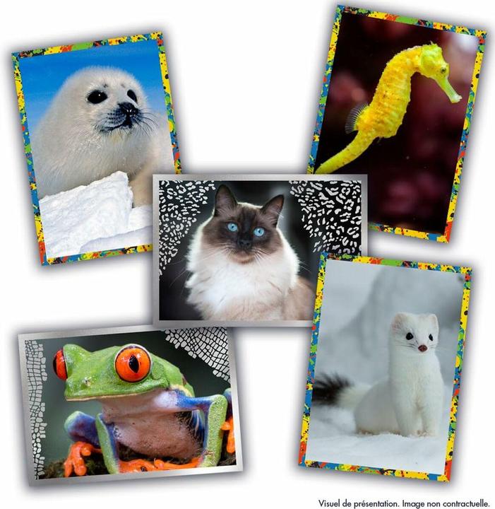 Produktbild Panini 004904BOX36F (Französisch, Booster Pack)