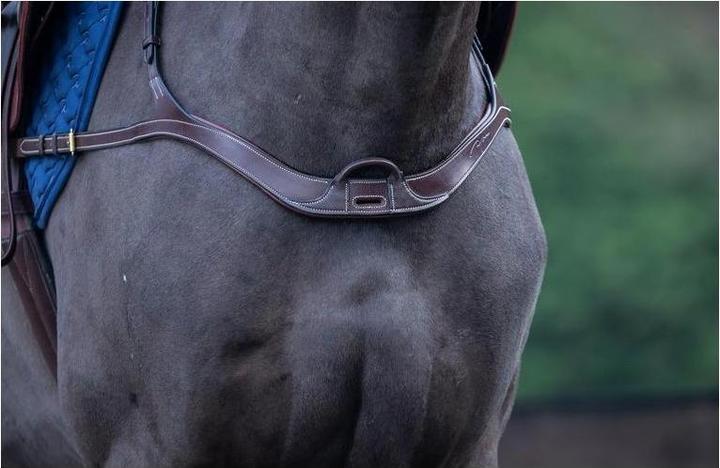 Image du produit Dy'on Collier de chasse anatomique