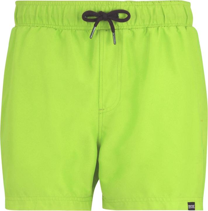Produktbild Regatta Mawson II Kurze Hose (XXL)