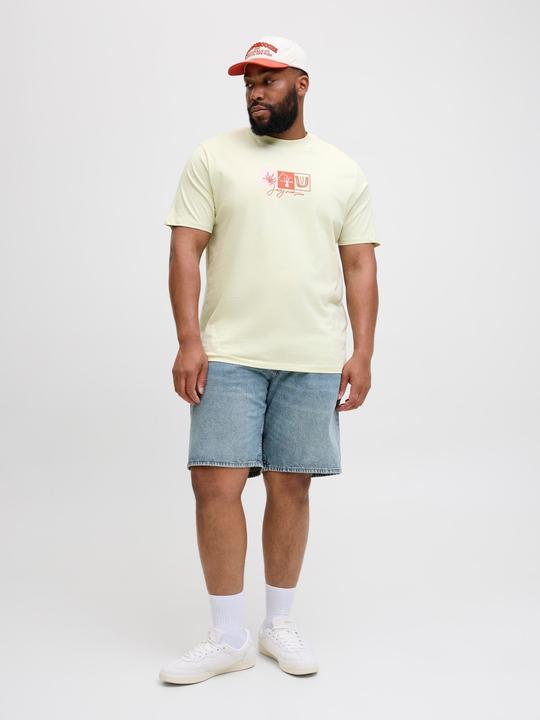 Produktbild Jack & Jones Plus Size T-shirt T-shirt (4XL)