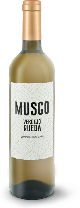 Produktbild Val de Vid Musgo Verdejo Rueda DO (6 x 75 cl, 2021)