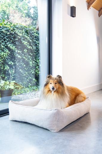 Actual product image Designed by Lotte Ribbed (Dog)