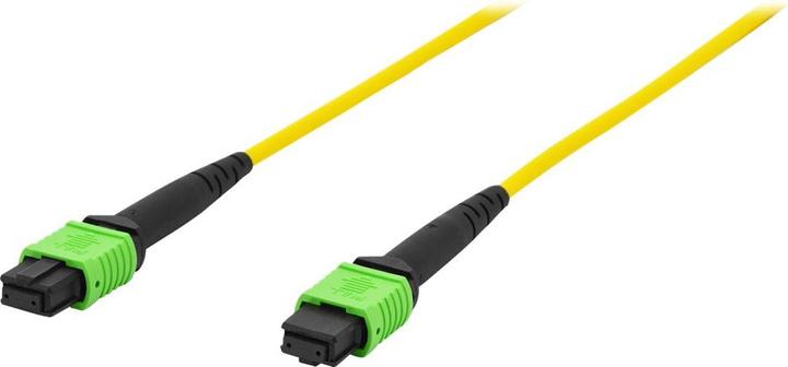 Image du produit Digitus Câble de raccordement MPO, OS2, 1m (UTP, CAT6, 1 m)