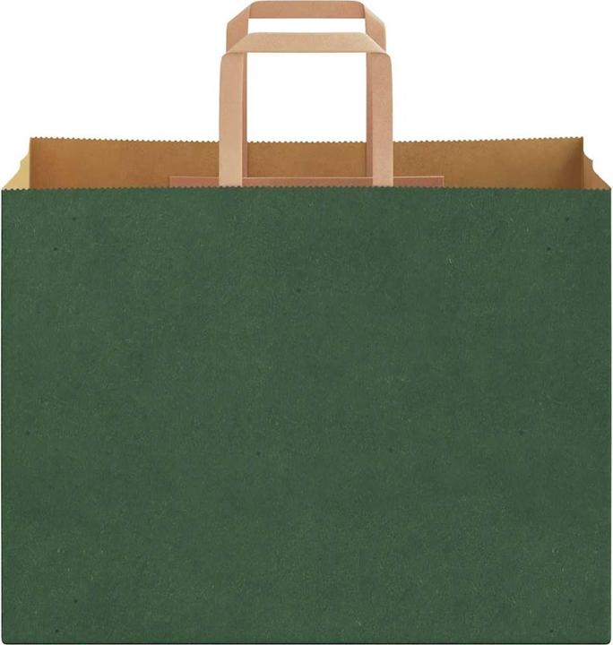 Image du produit VidaXL Sacs en papier kraft 250 pcs. avec anse Vert 32x17x25 cm Sac en papier (Pochette cadeau, 250 x)