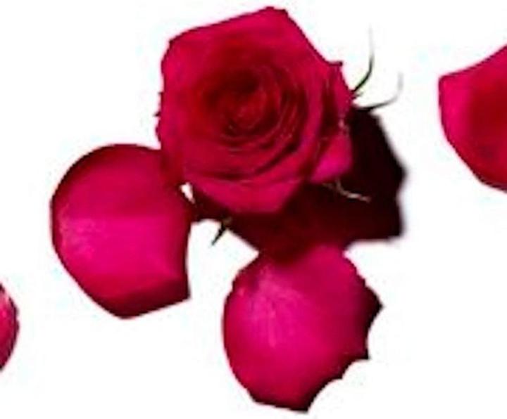 Produktbild Benamôr Rose Amélie - Lip Balm (Lippenbalsam, 12 ml)