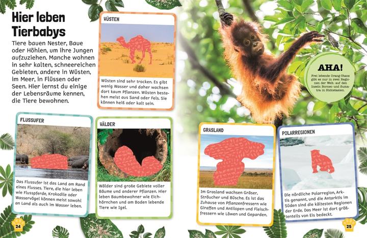 Immagine prodotto Lessico degli adesivi. Bambini animali