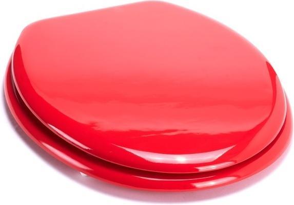 Produktbild MSV Cléo