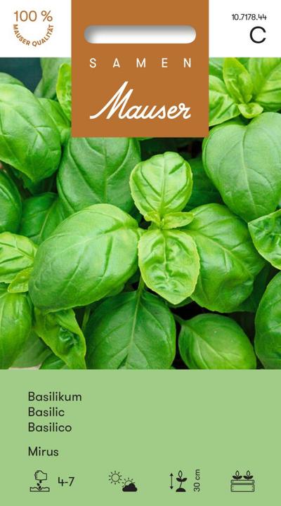 Actual product image Samen Mauser Basilikum Mirus (Herb seeds)