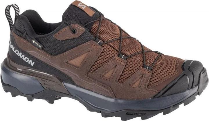 Salomon X Ultra Schuhe