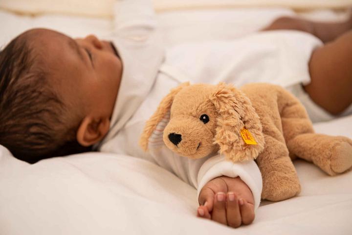 Actual product image Steiff Floppy Lumpi dog light brown 20cm (20 cm)