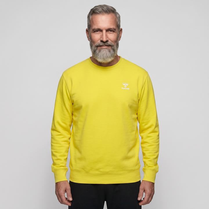 Blazing yellow, Yellow, Yellow