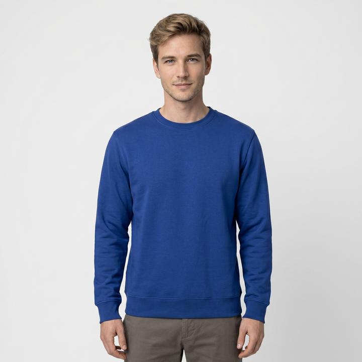 Bleu roi