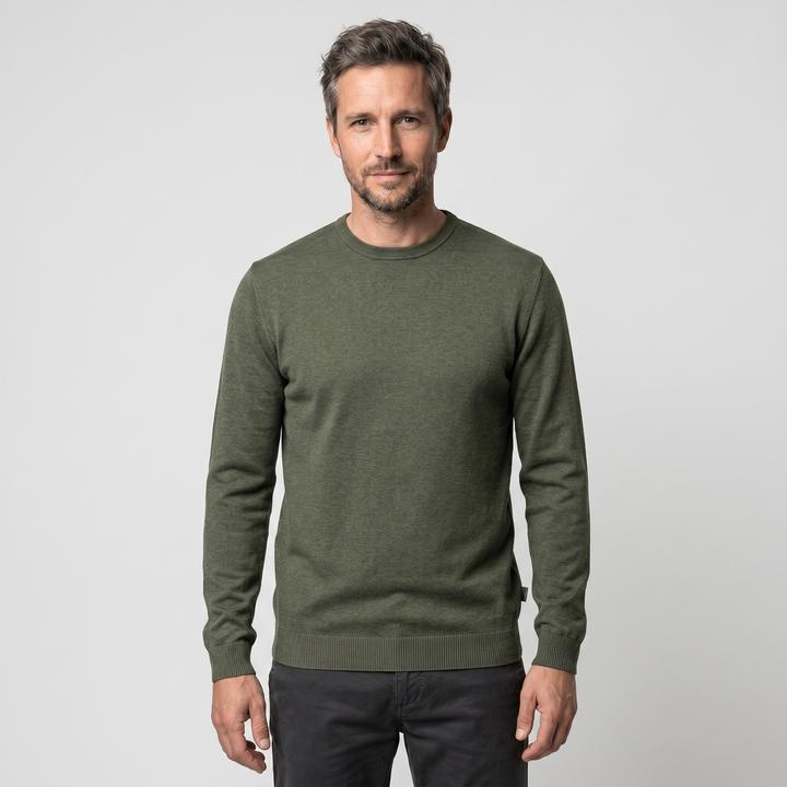 Gris Castor Gray