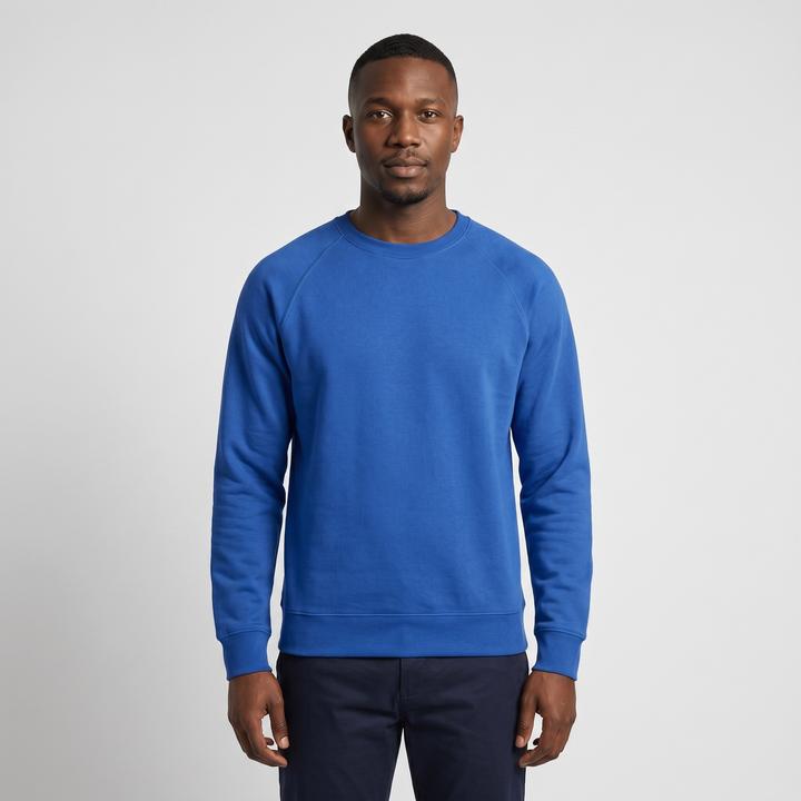 Bleu roi
