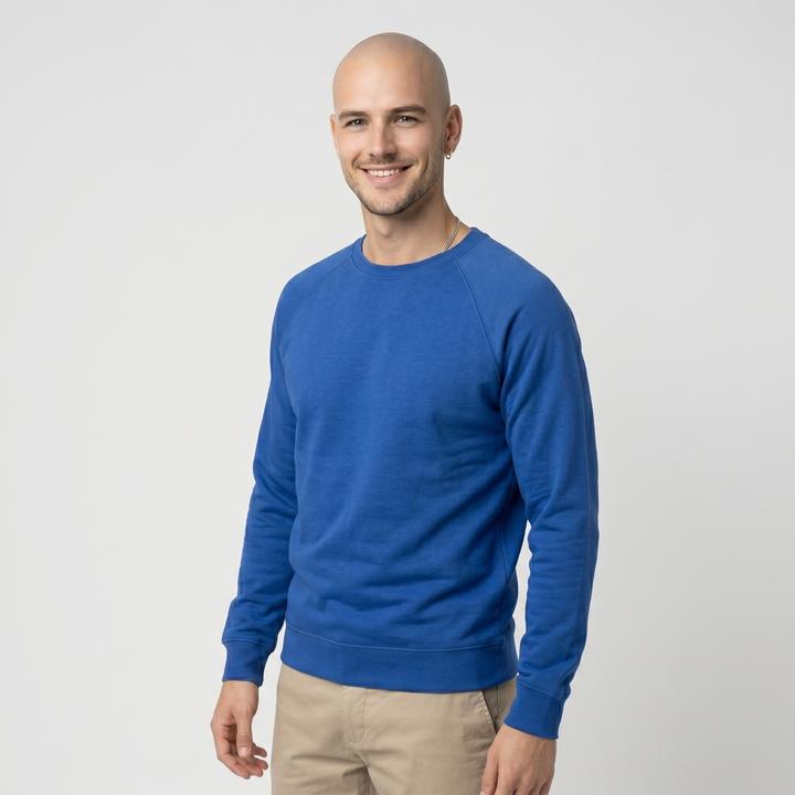 Bleu roi