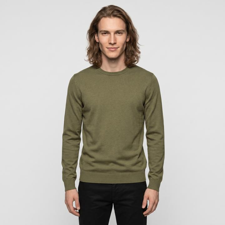 Deep Lichen Green