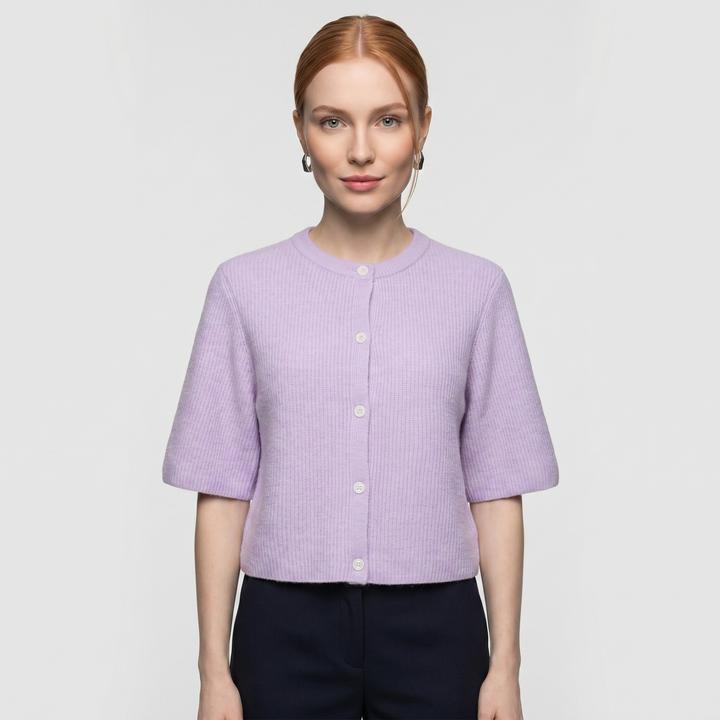 Pastel Lilac