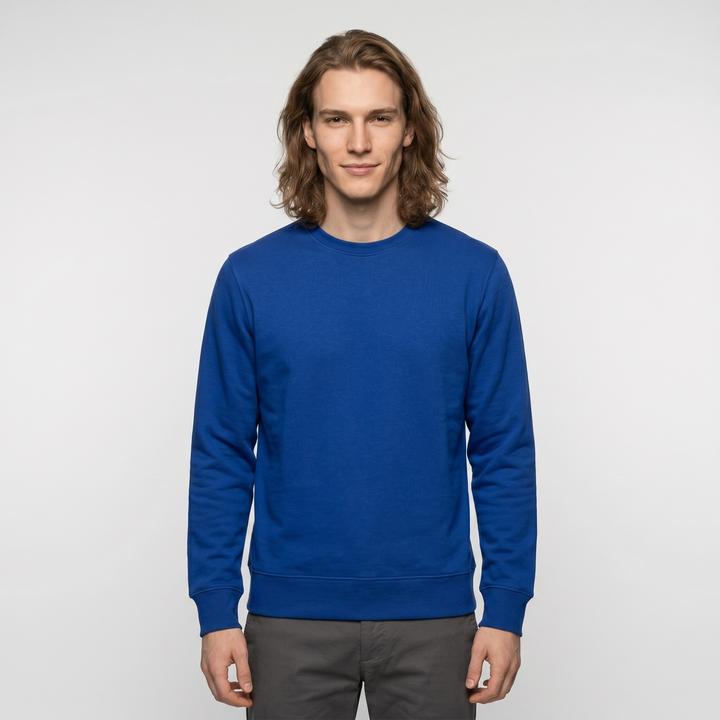 Bleu roi