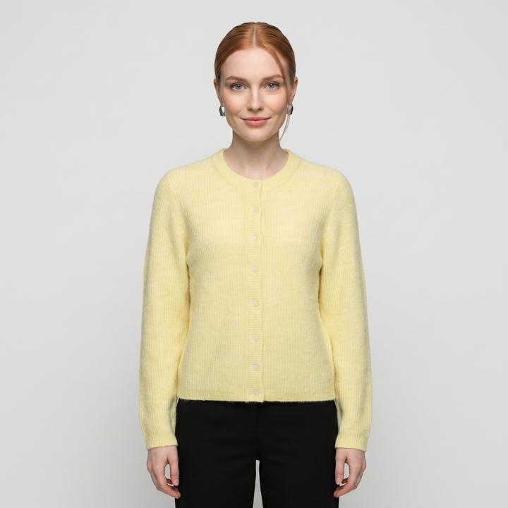 Pastel Yellow